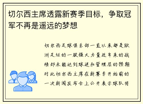 切尔西主席透露新赛季目标，争取冠军不再是遥远的梦想