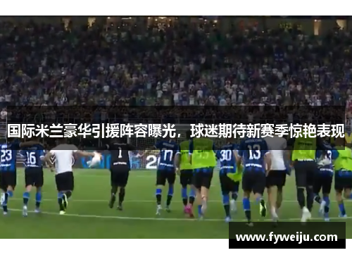 国际米兰豪华引援阵容曝光，球迷期待新赛季惊艳表现