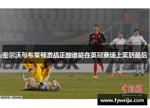 密尔沃与布莱顿激战正酣谁能在英冠赛场上笑到最后