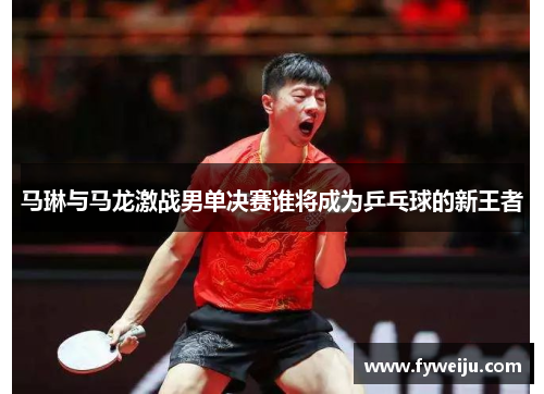 马琳与马龙激战男单决赛谁将成为乒乓球的新王者