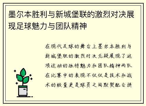 墨尔本胜利与新城堡联的激烈对决展现足球魅力与团队精神